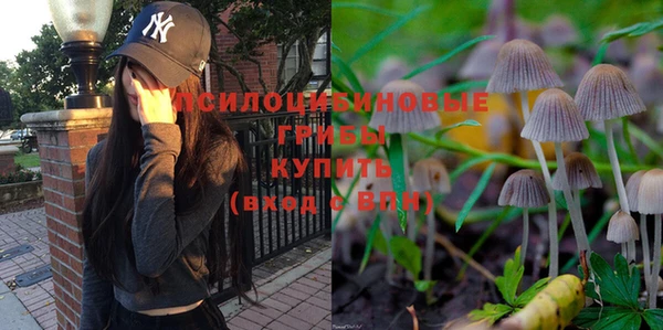 прущий лед Арсеньев