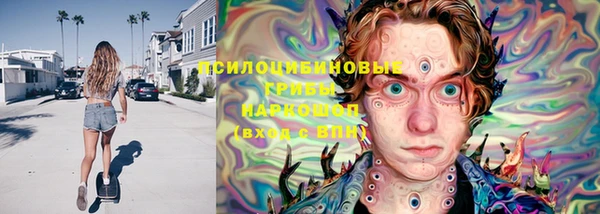 прущий лед Арсеньев